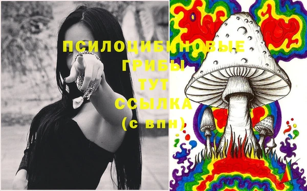 гашиш Дмитровск