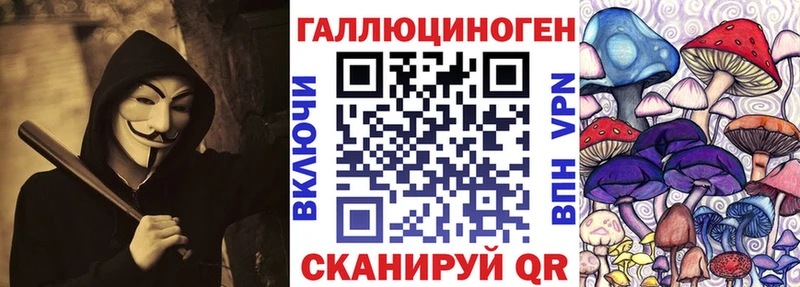 Купить где  Ишим  Псилоцибиновые грибы Psilocybine cubensis 